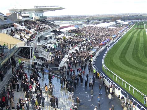 aintree grand national race card|Grand National The Famous Mound Stand.